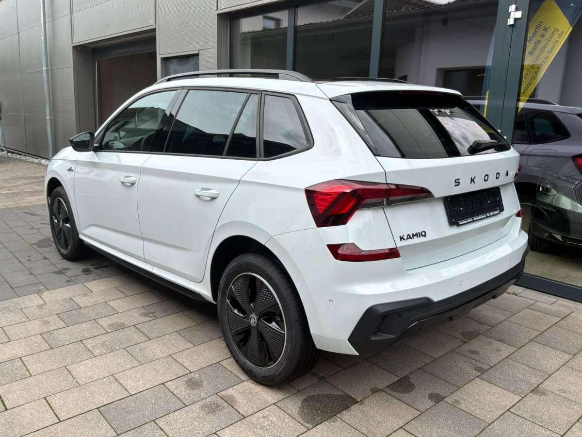 Fahrzeugbild eines Skoda Kamiq
