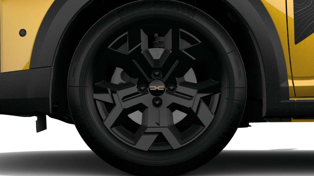 Fahrzeugbild eines Dacia Sandero