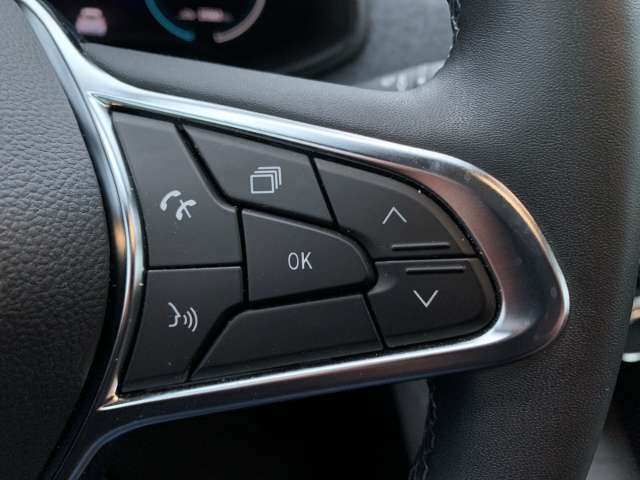 Fahrzeugbild eines Renault ZOE