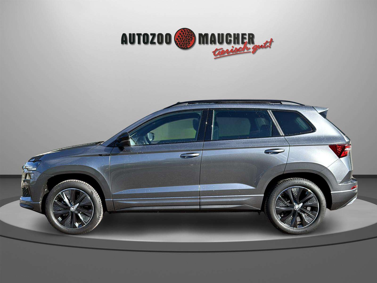 Fahrzeugbild eines Skoda Karoq