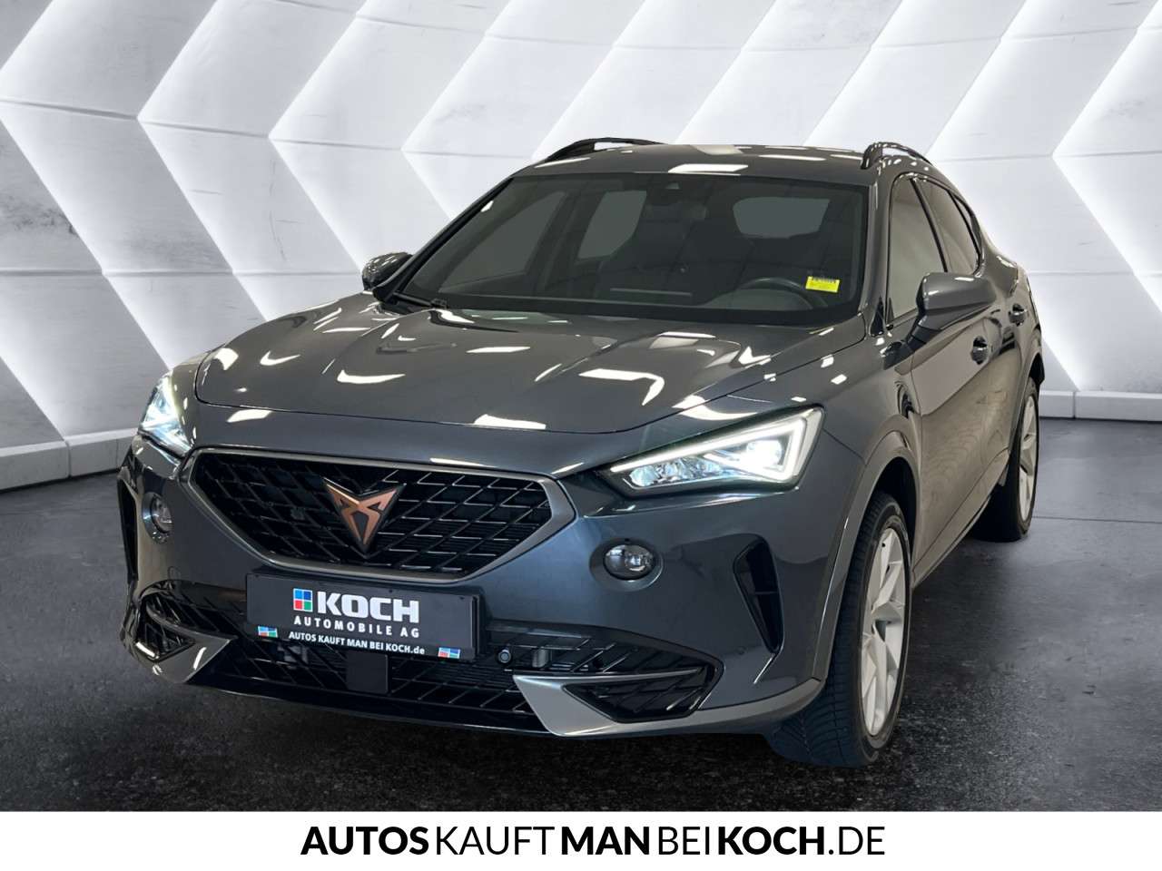 Fahrzeugbild eines CUPRA Formentor