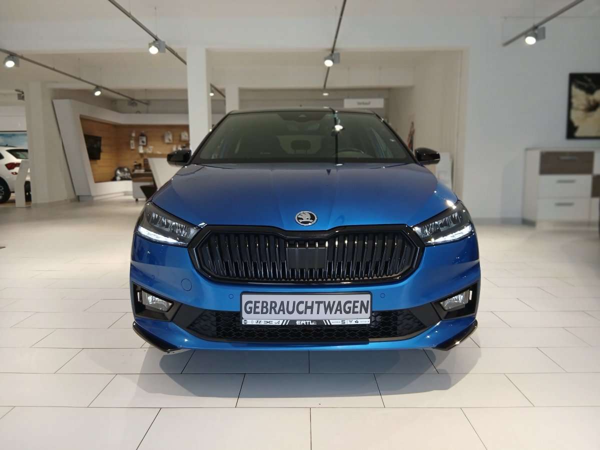Fahrzeugbild eines Skoda Fabia