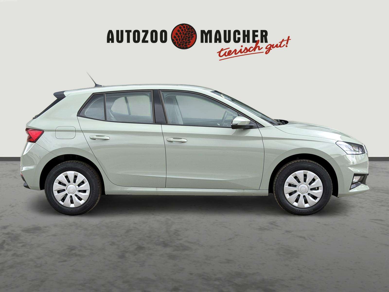 Fahrzeugbild eines Skoda Fabia
