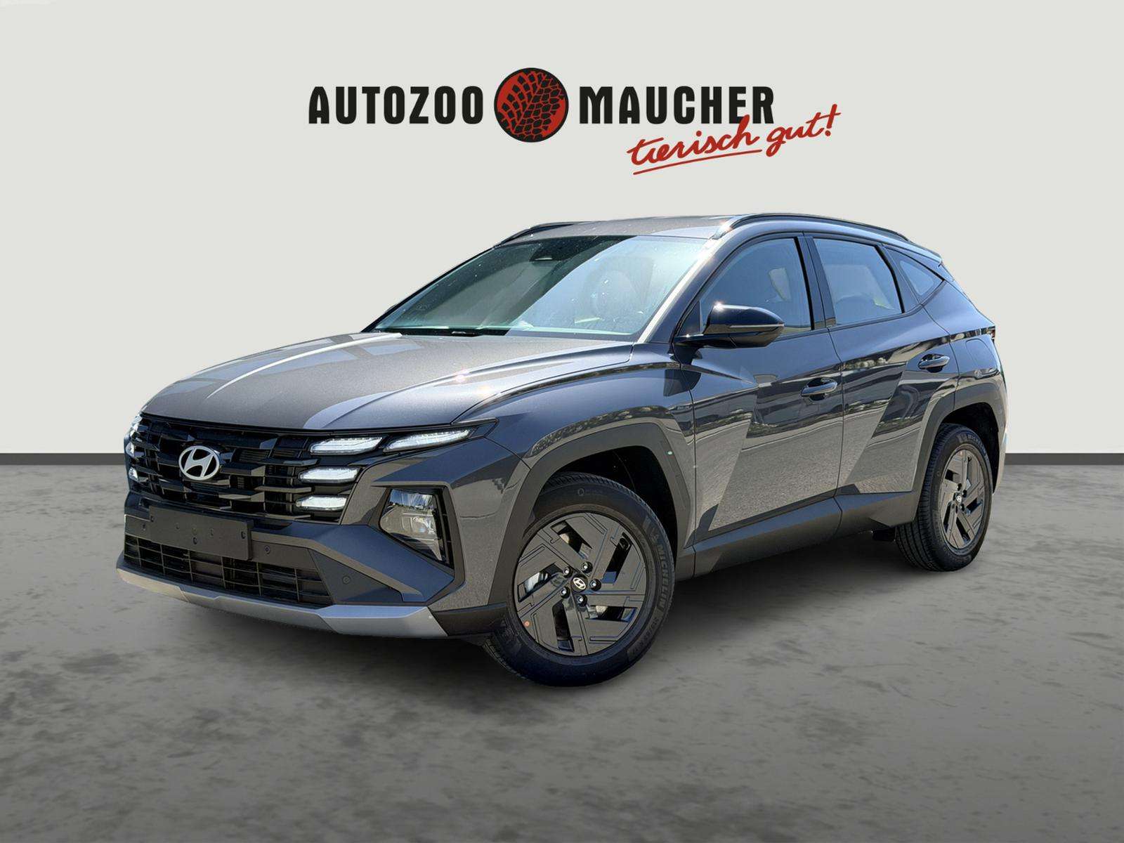 Fahrzeugbild eines Hyundai Tucson