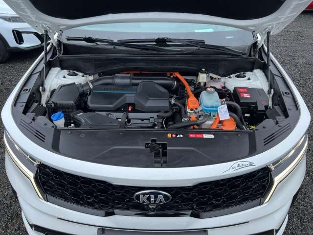 Fahrzeugbild eines Kia Sorento