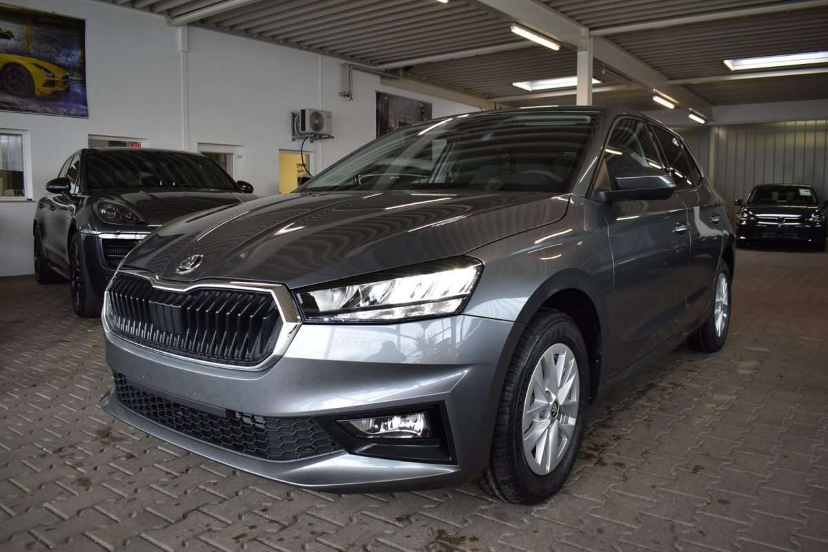 Fahrzeugbild eines Skoda Fabia