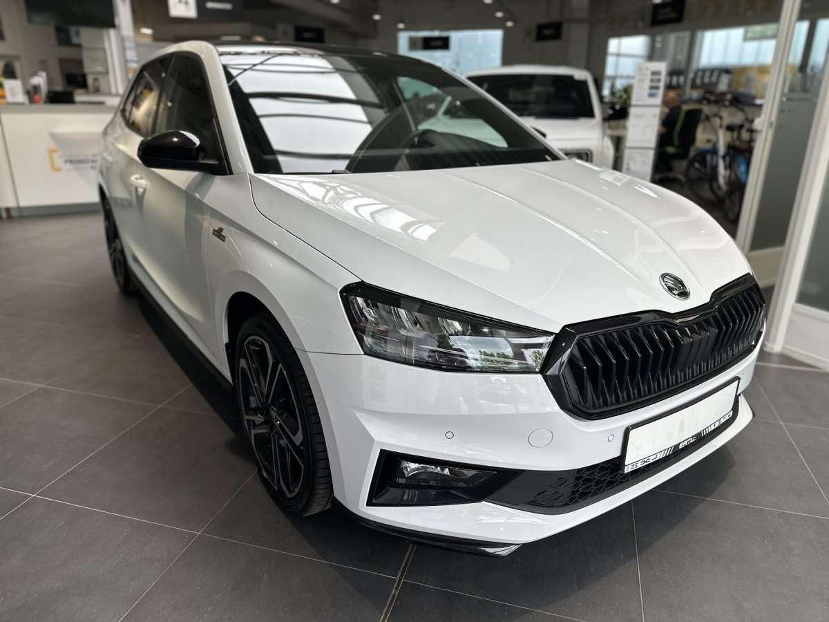Fahrzeugbild eines Skoda Fabia
