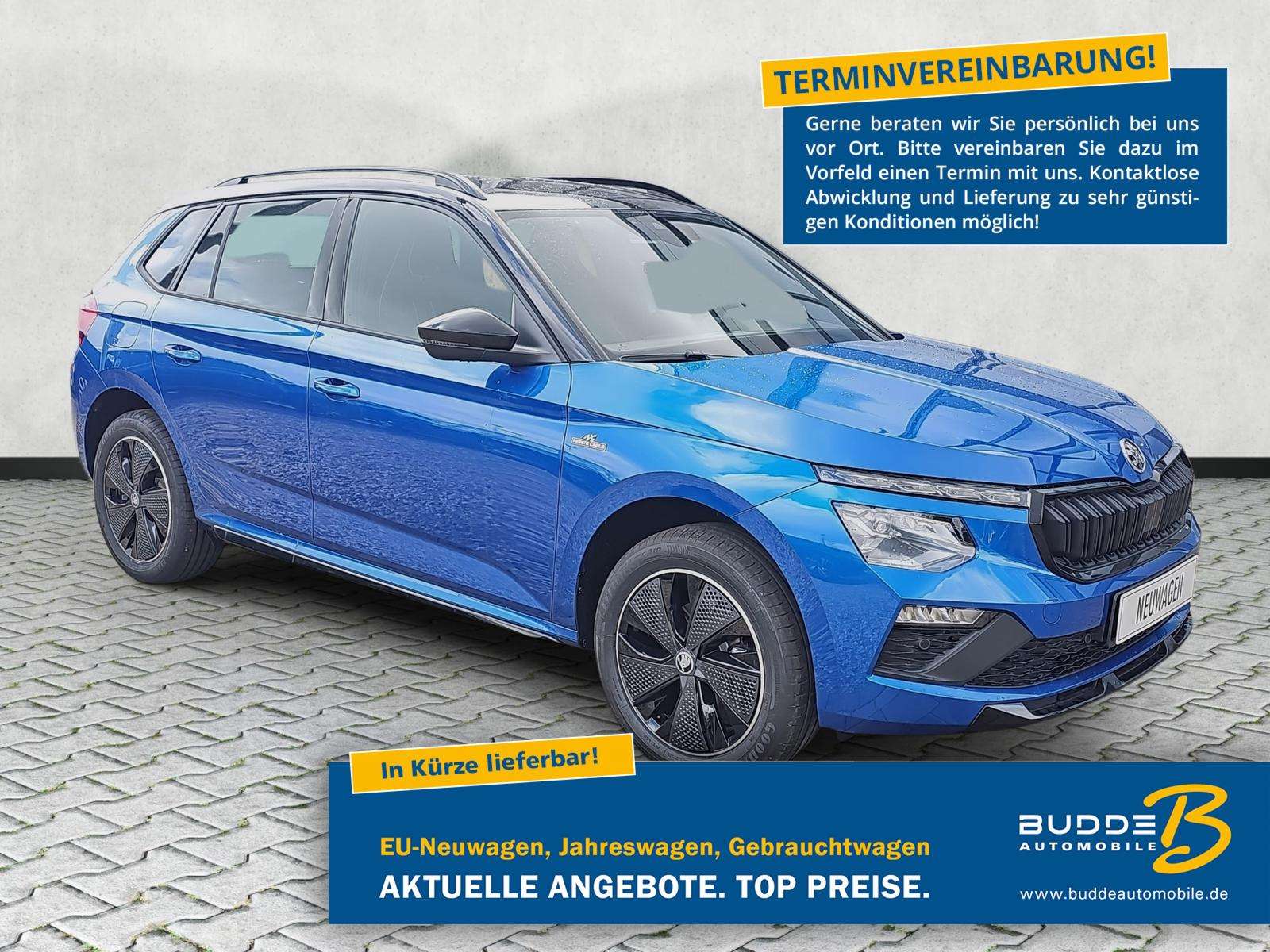 Fahrzeugbild eines Skoda Kamiq