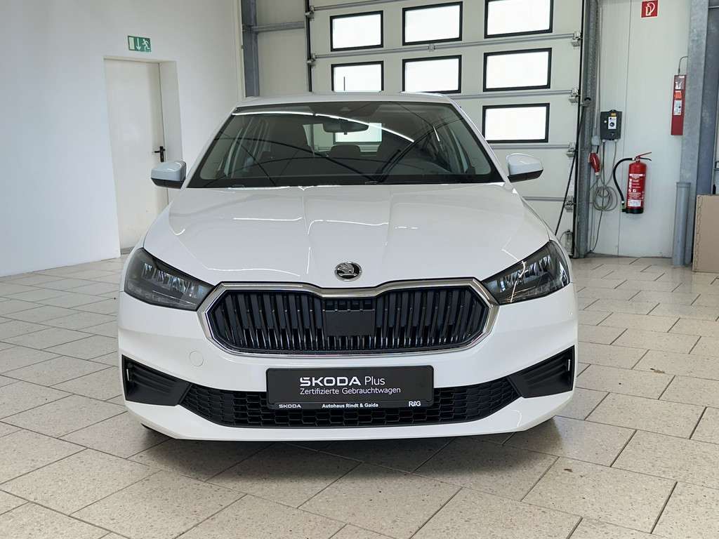 Fahrzeugbild eines Skoda Fabia