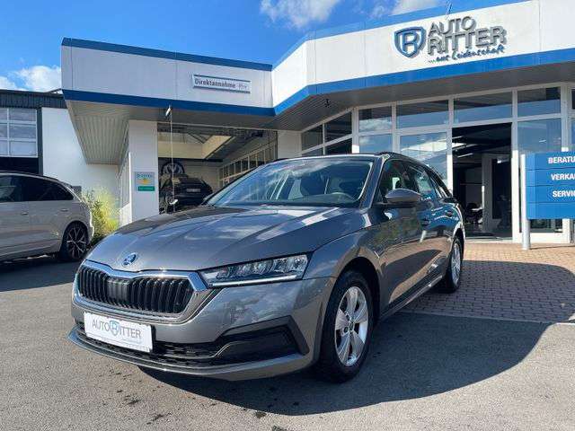 Fahrzeugbild eines Skoda Octavia