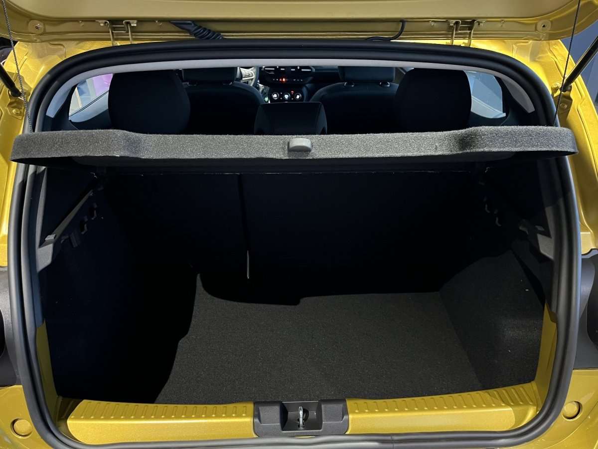 Fahrzeugbild eines Dacia Sandero