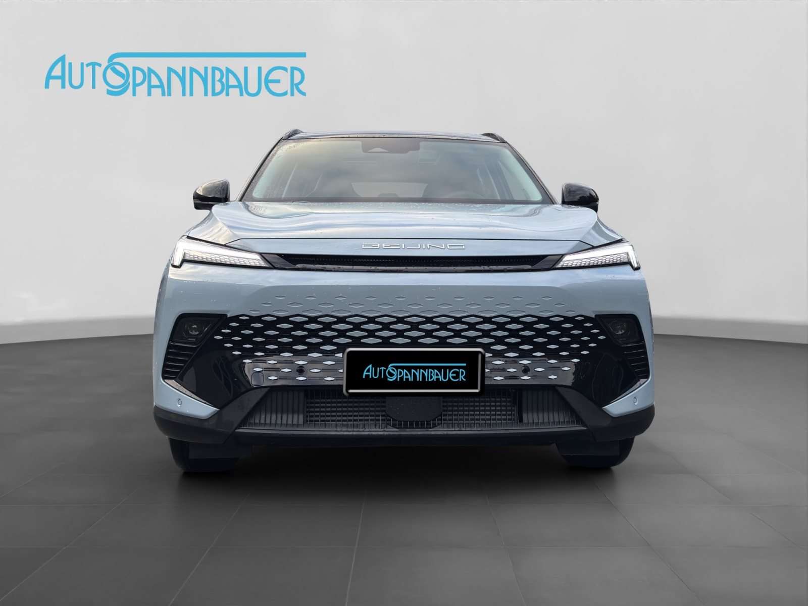 Fahrzeugbild eines BAIC X55