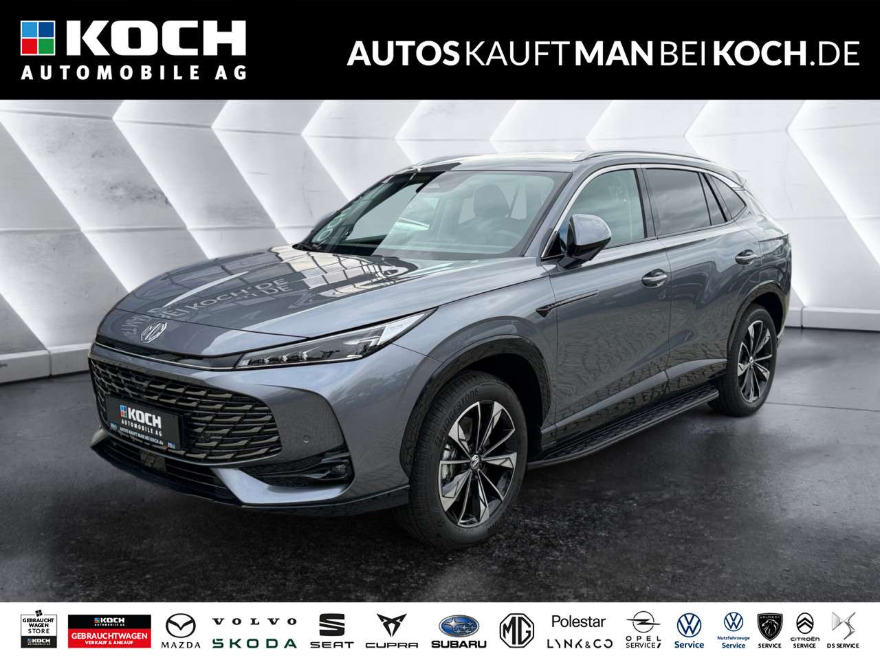 Fahrzeugbild eines MG HS