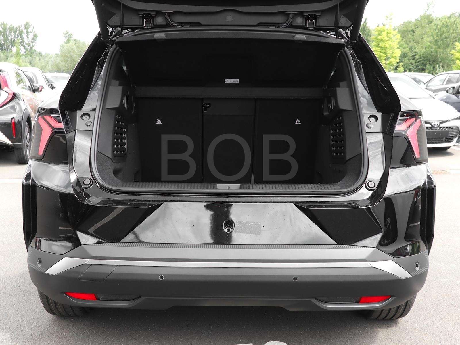 Fahrzeugbild eines Renault Scénic