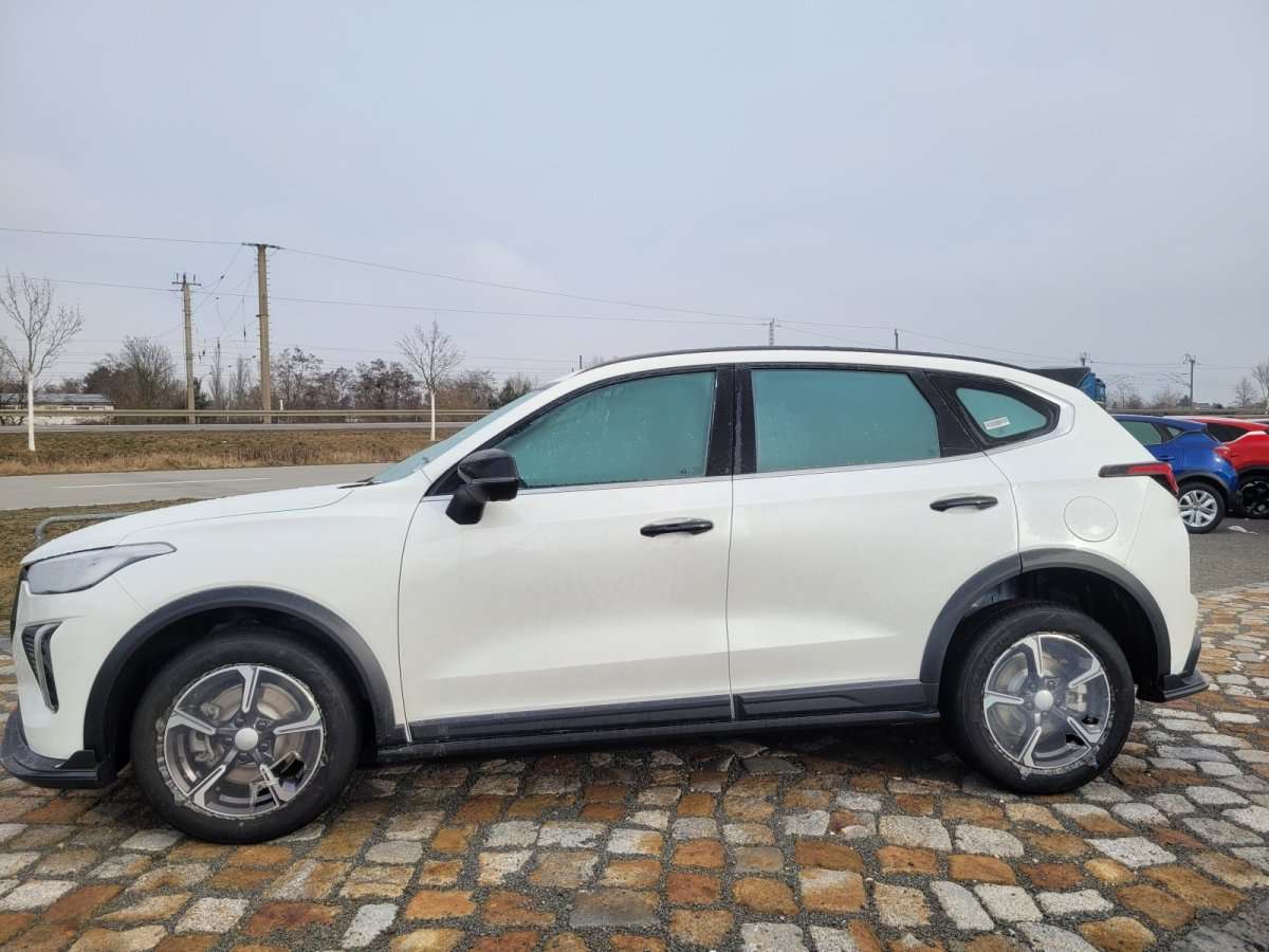 Fahrzeugbild eines GWM Haval Jolion Pro