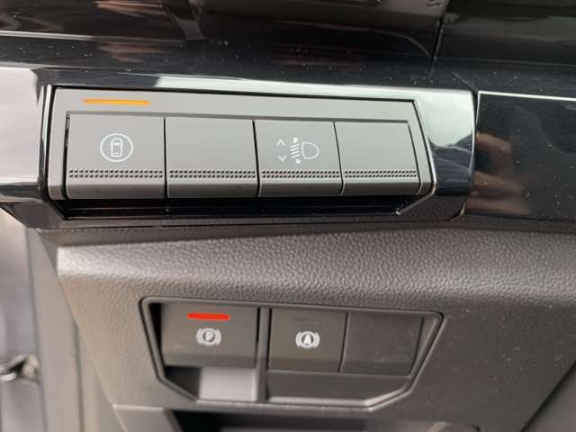 Fahrzeugbild eines Renault Austral