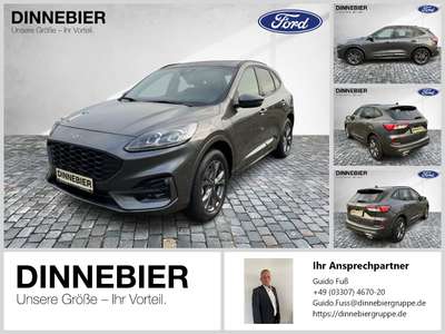 Bild Ford Kuga