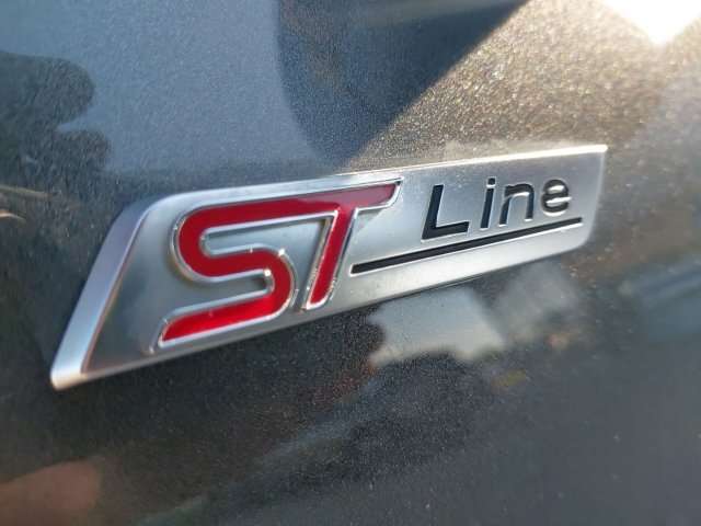 Fahrzeugbild eines Ford Kuga