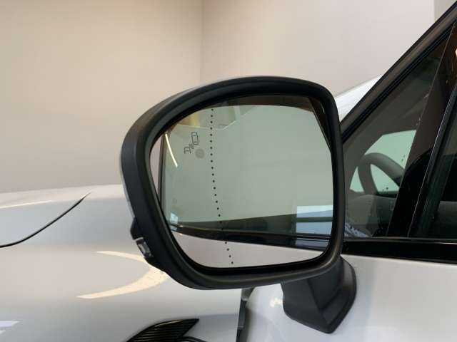 Fahrzeugbild eines Renault Symbioz
