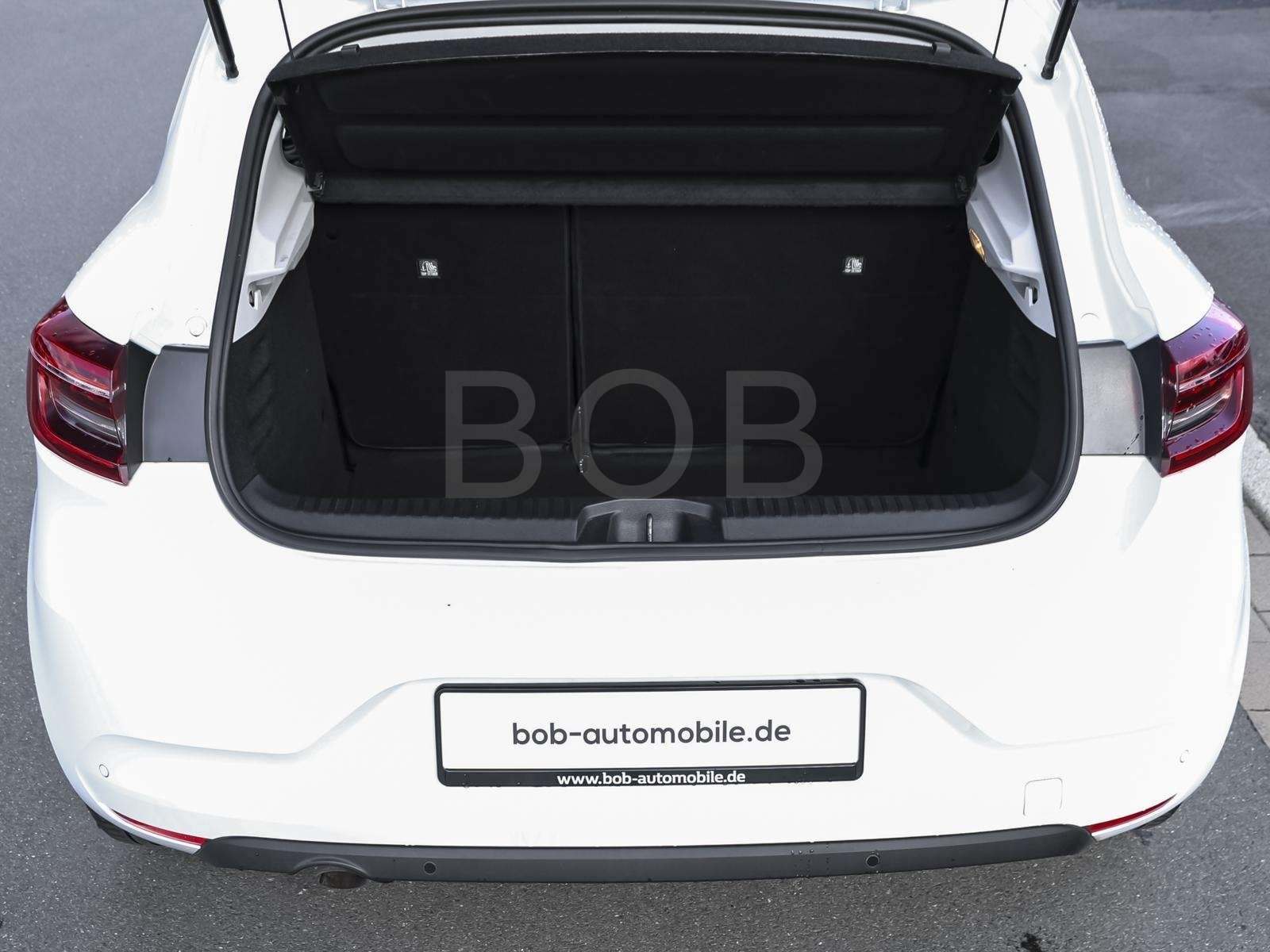 Fahrzeugbild eines Renault Clio