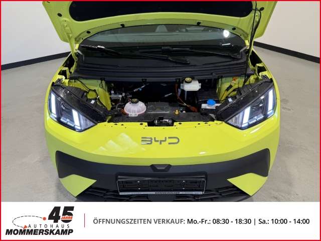 Fahrzeugbild eines BYD DOLPHIN