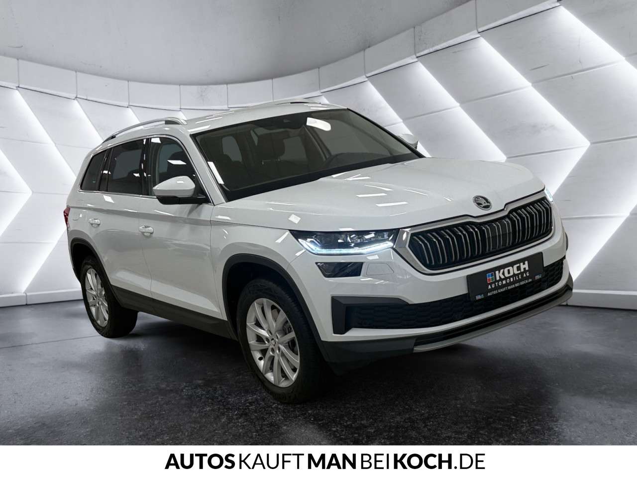 Fahrzeugbild eines Skoda Kodiaq
