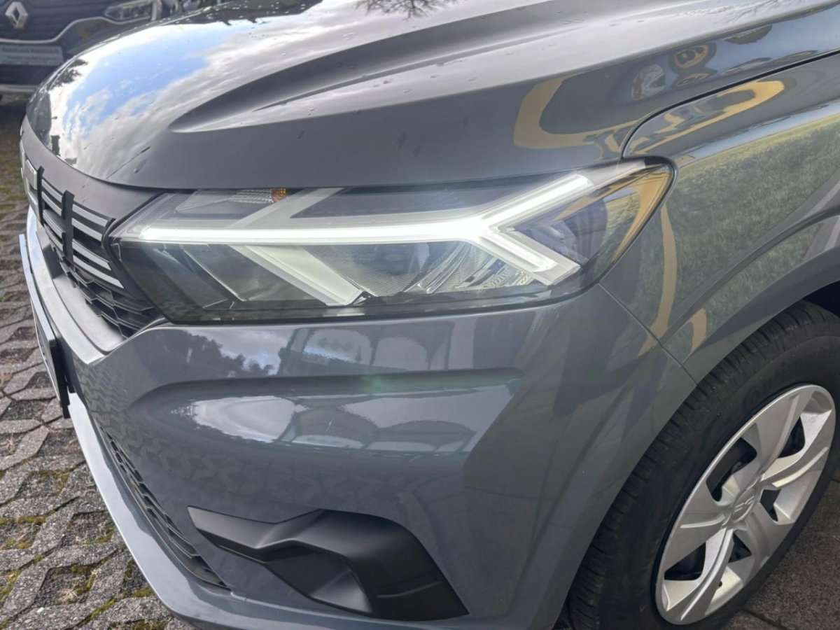 Fahrzeugbild eines Dacia Sandero
