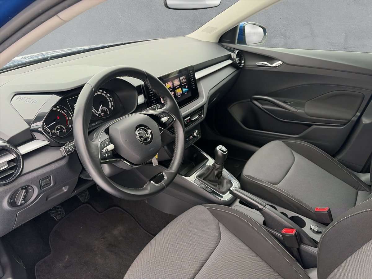 Fahrzeugbild eines Skoda Fabia