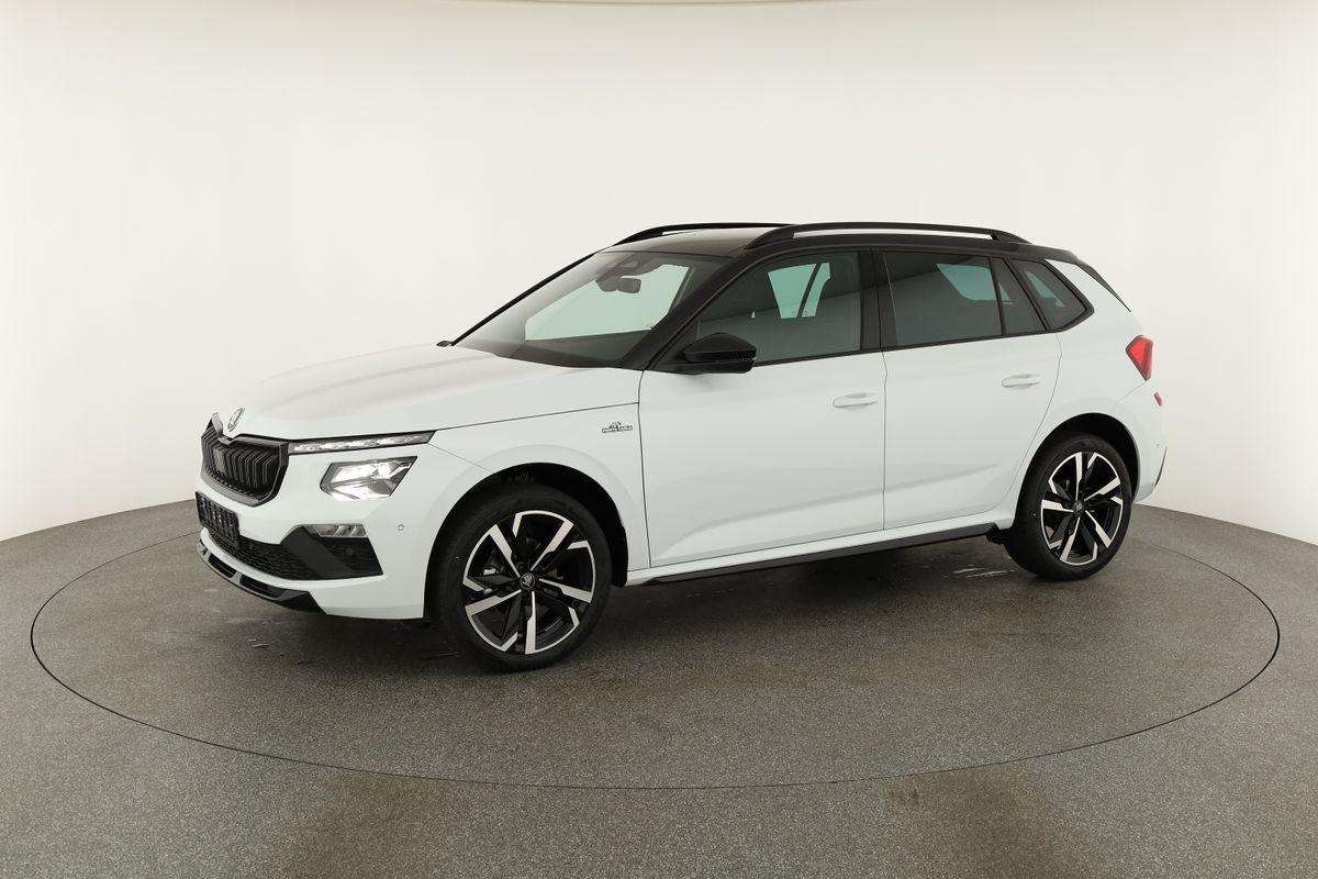 Fahrzeugbild eines Skoda Kamiq
