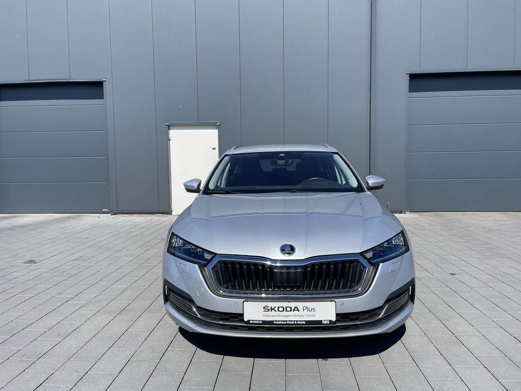 Fahrzeugbild eines Skoda Octavia