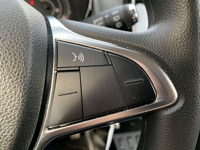 Fahrzeugbild eines Dacia Spring