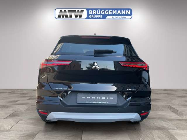 Fahrzeugbild eines Mitsubishi Grandis