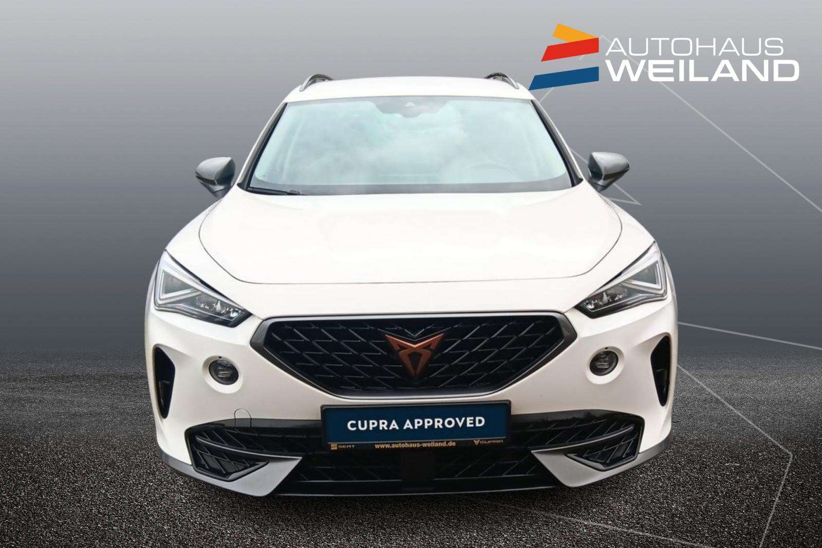 Fahrzeugbild eines CUPRA Formentor