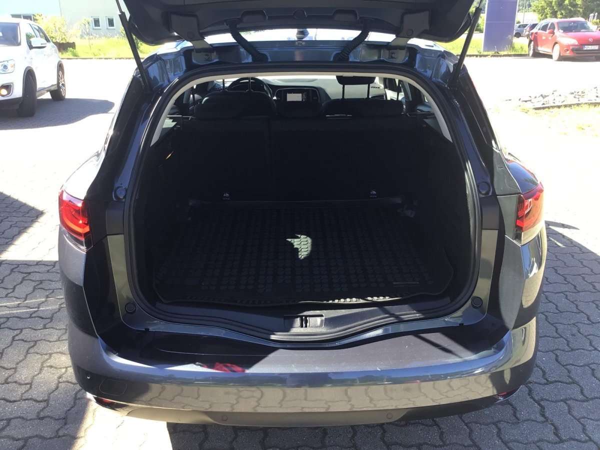 Fahrzeugbild eines Renault Mégane
