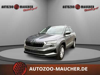Bild Skoda Karoq