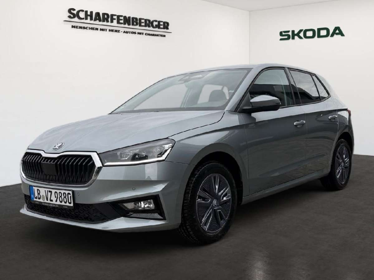 Fahrzeugbild eines Skoda Fabia