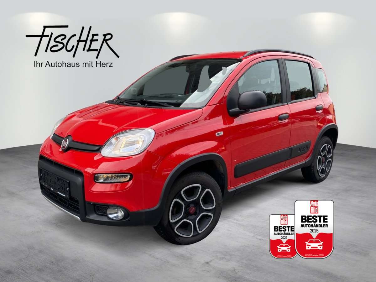 Fahrzeugbild eines Fiat Panda