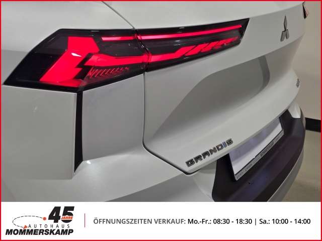 Fahrzeugbild eines Mitsubishi Grandis