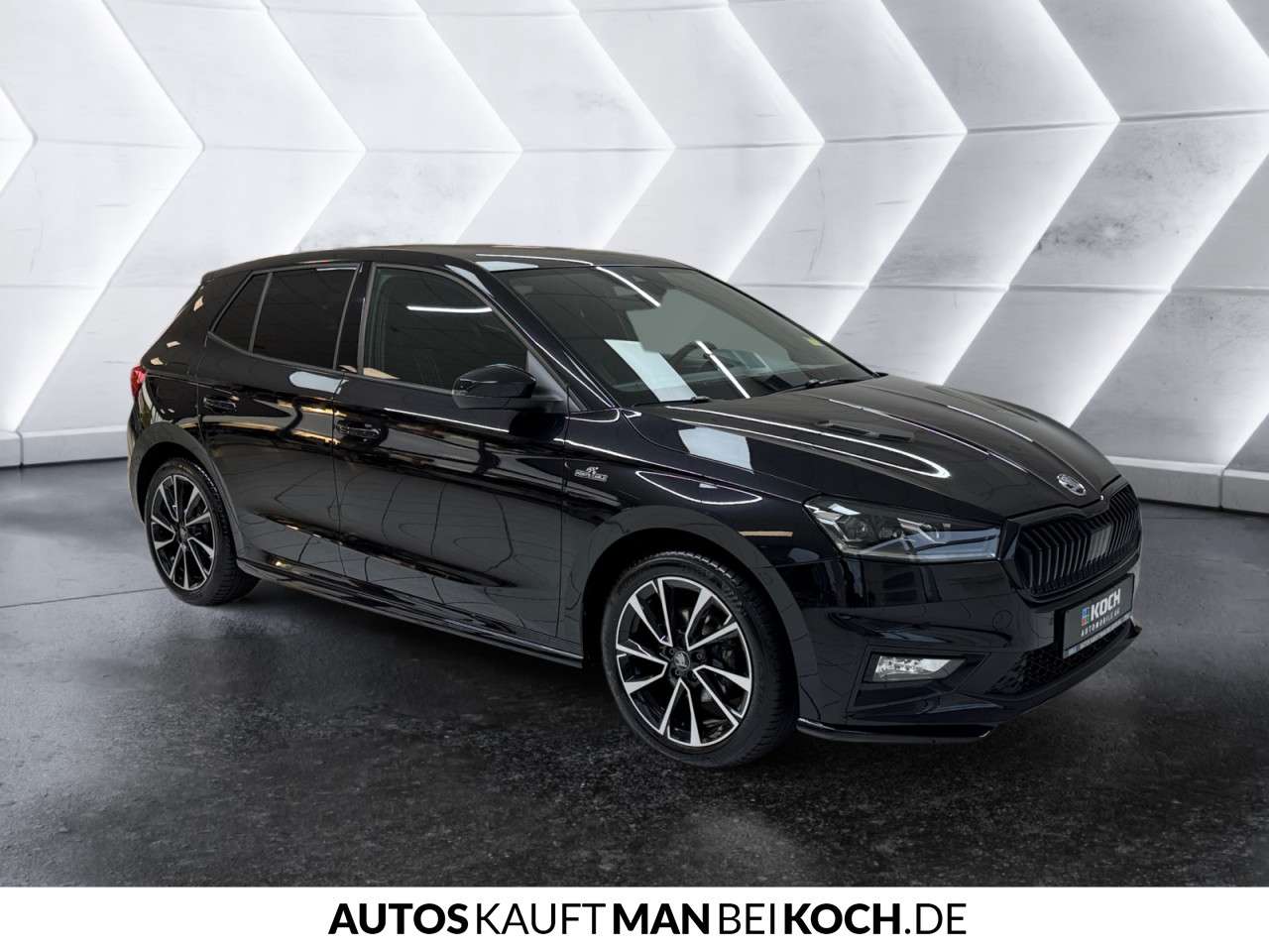 Fahrzeugbild eines Skoda Fabia
