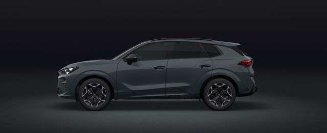 Fahrzeugbild eines CUPRA Terramar