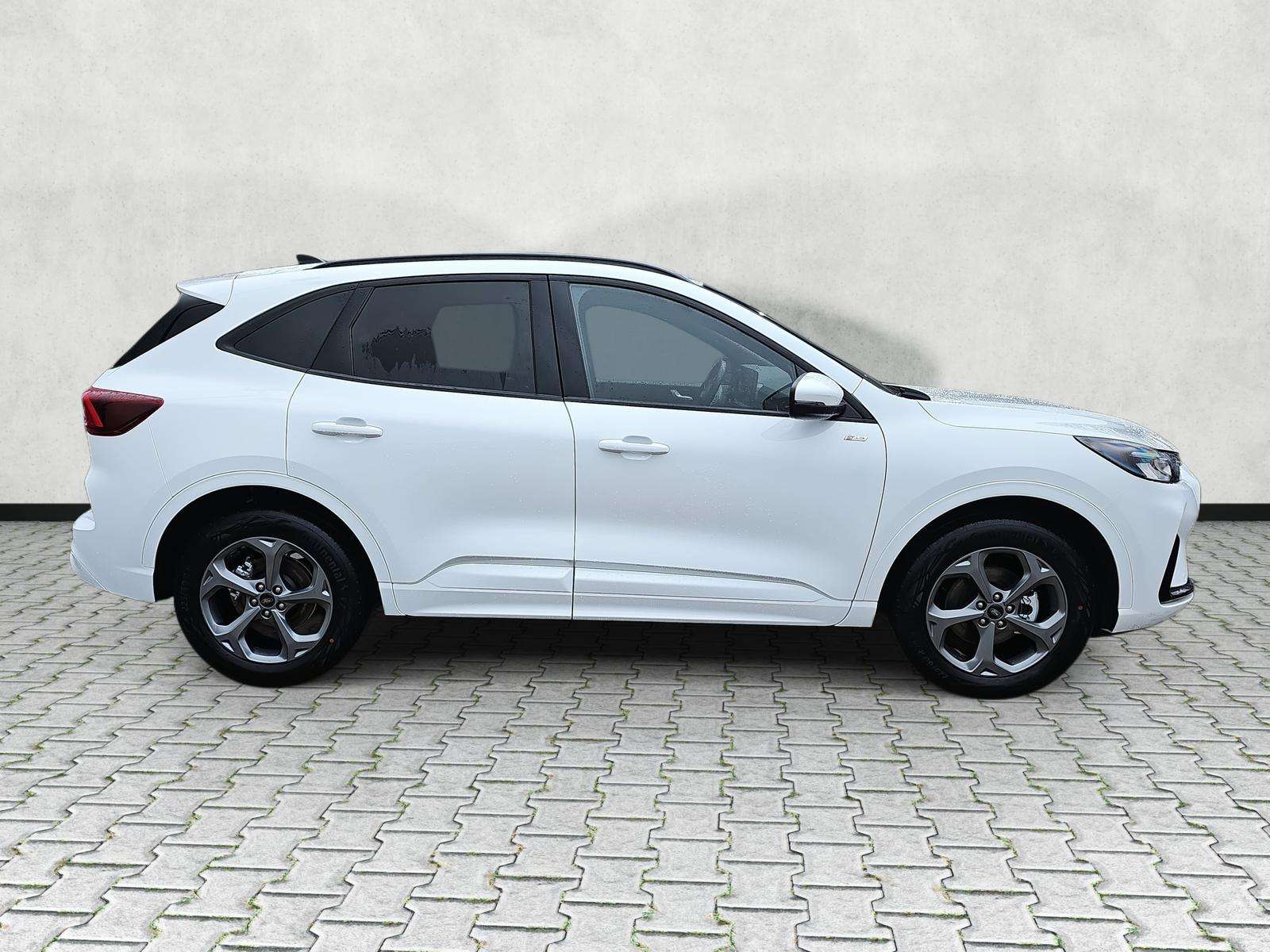 Fahrzeugbild eines Ford Kuga