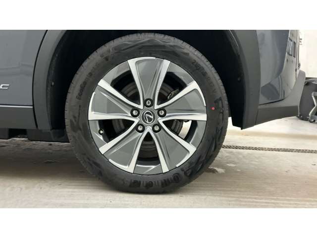 Fahrzeugbild eines Lexus UX