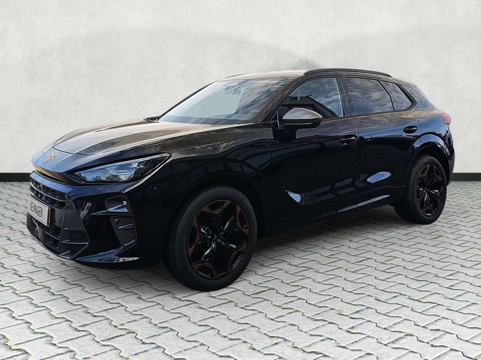 Fahrzeugbild eines CUPRA Terramar