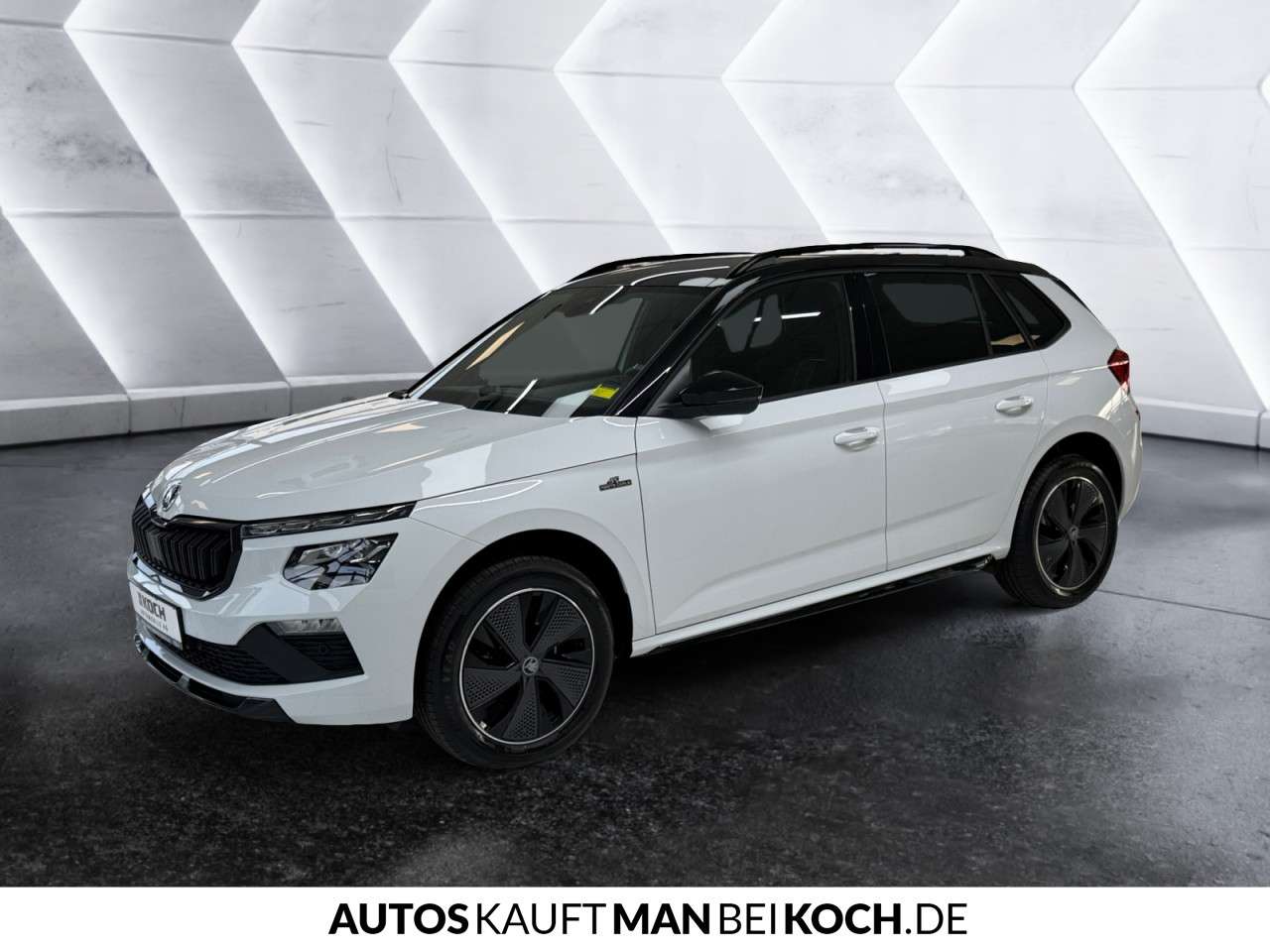 Fahrzeugbild eines Skoda Kamiq