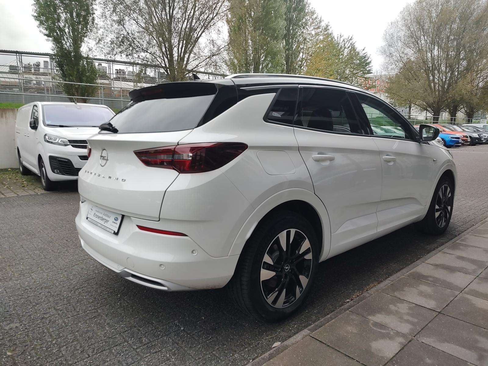 Fahrzeugbild eines Opel Grandland X