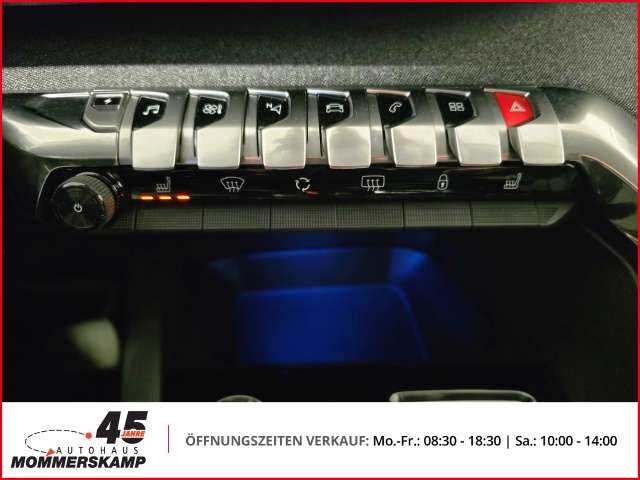 Fahrzeugbild eines Peugeot 3008