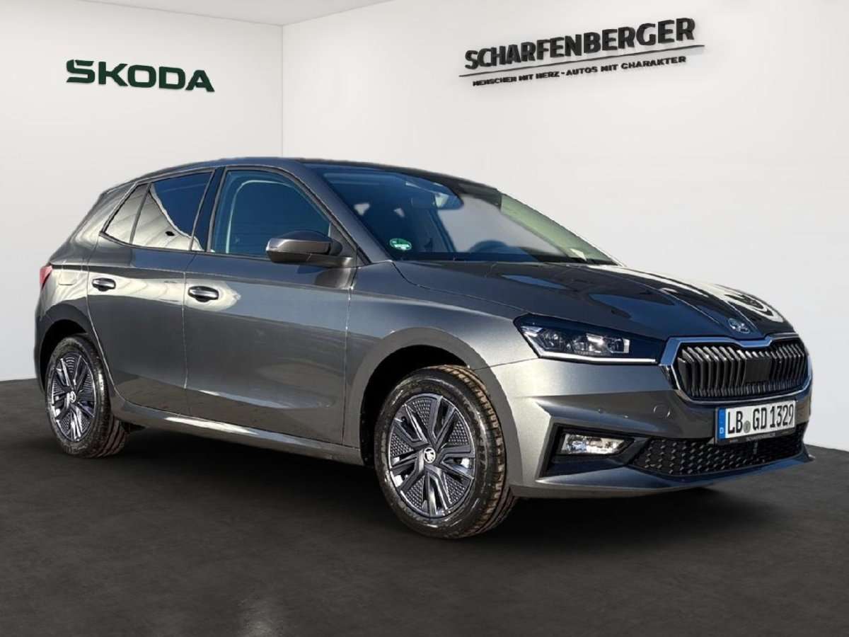 Fahrzeugbild eines Skoda Fabia
