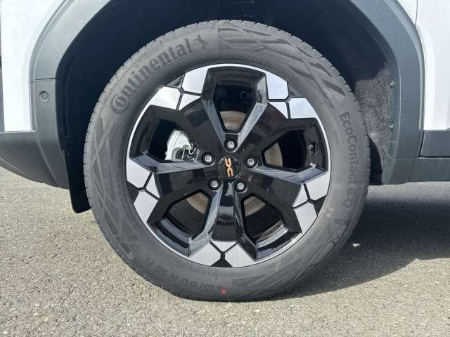 Fahrzeugbild eines Dacia Bigster