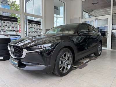 Bild Mazda CX-30