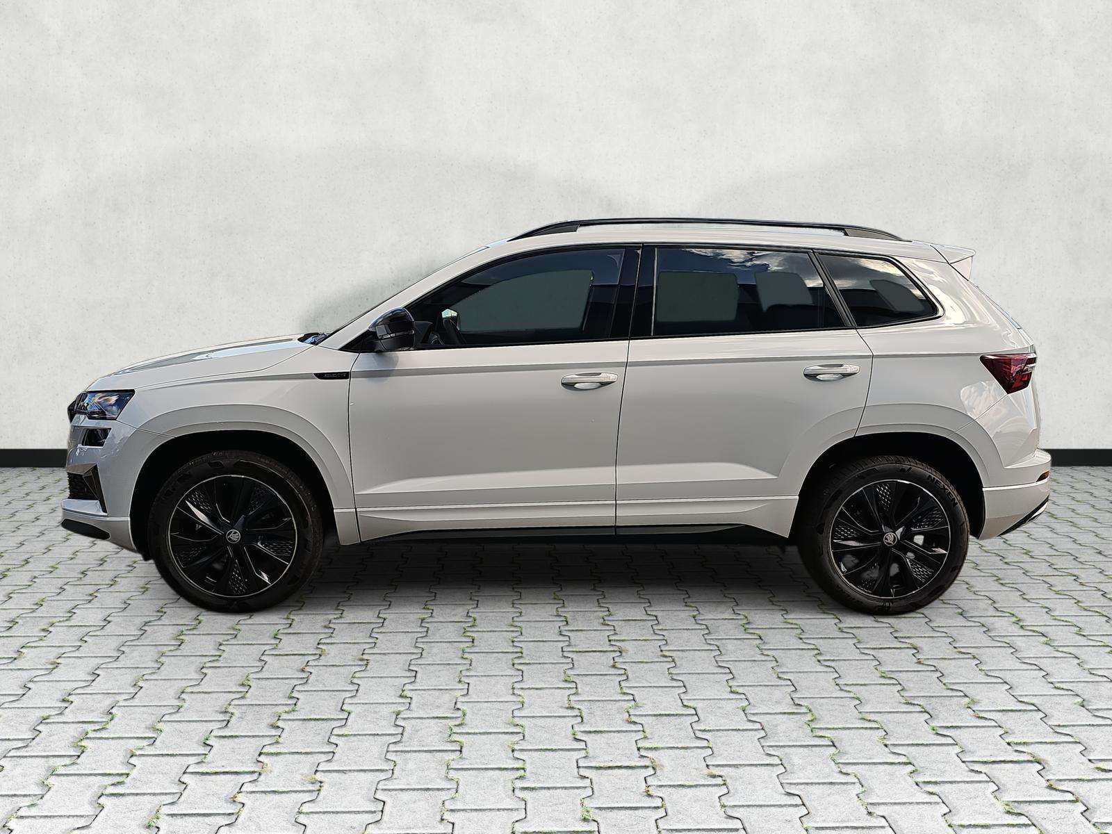Fahrzeugbild eines Skoda Karoq